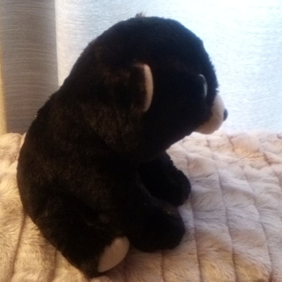 TY Kodi Bear - 8 inch - Beanie Buddie - New with Tag! - Picture 5 of 8